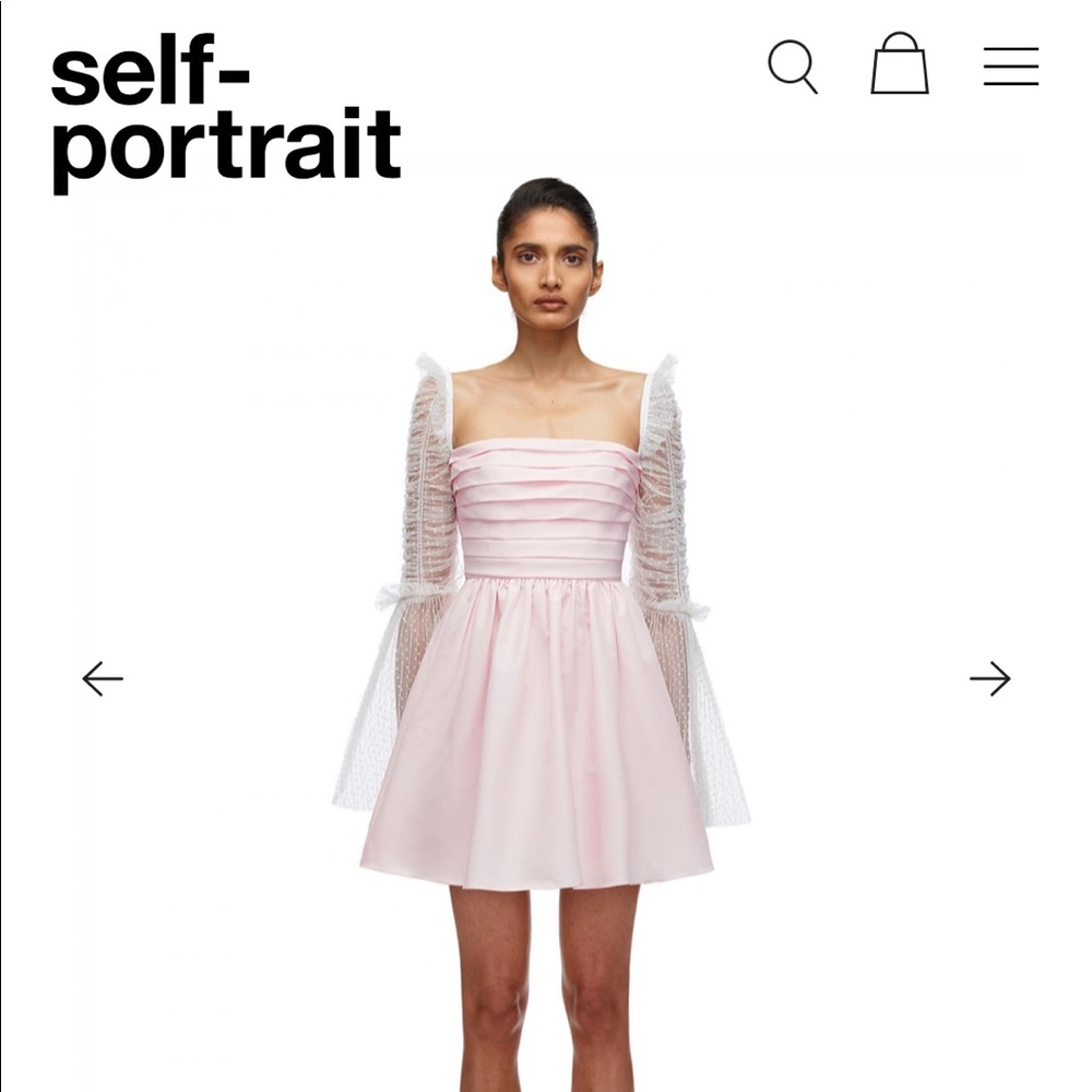 Self-Portrait Taffeta Dot Mesh Mini Dress